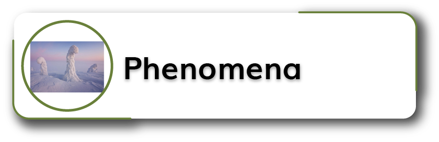 Phenomena Section Title