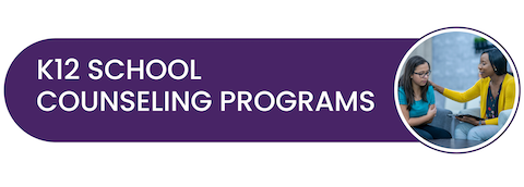 K12 School Counseling Programs Button