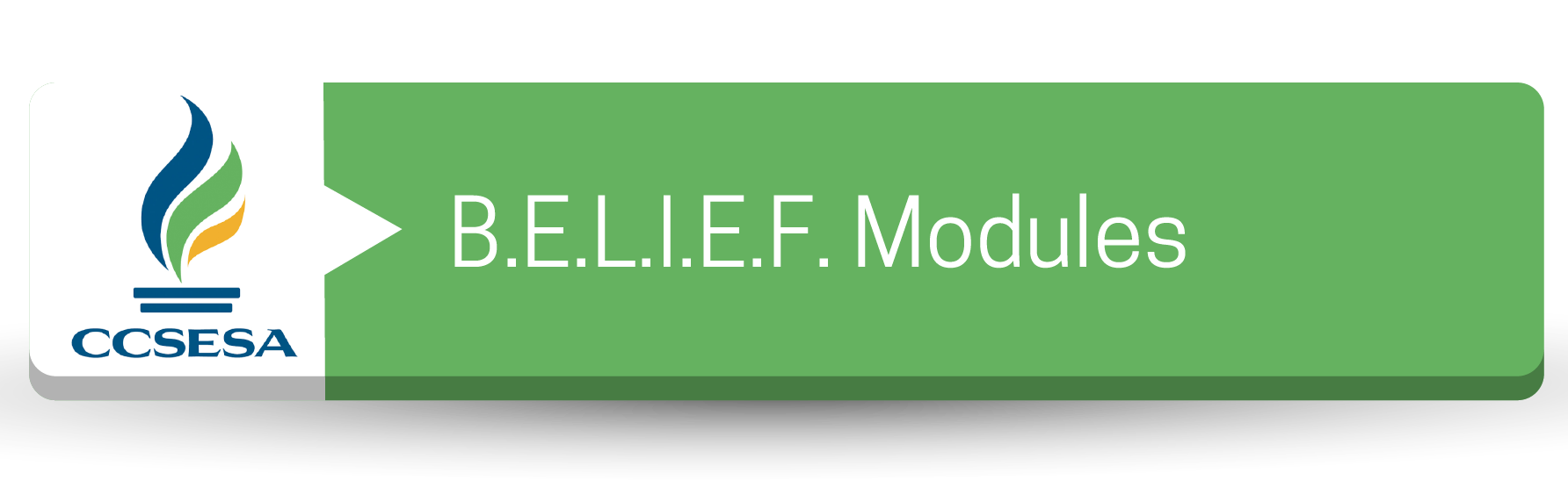 B.E.L.I.E.F. Modules Button