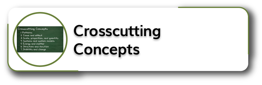 Crosscutting Concepts Button