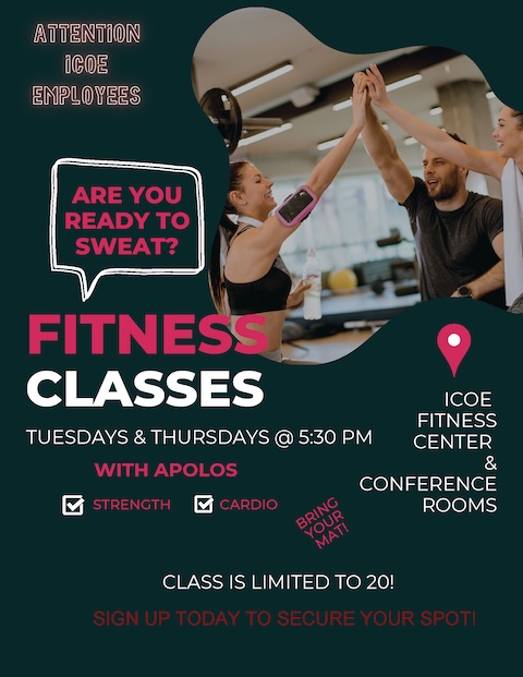 Fitness Classes Flyer