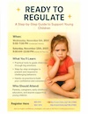 Ready to Regulate - A Step-by-Step Guide to Support Young Children (Condensed Version) Flyer