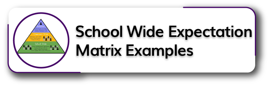 School Wide Expectation Matrix Examples Button