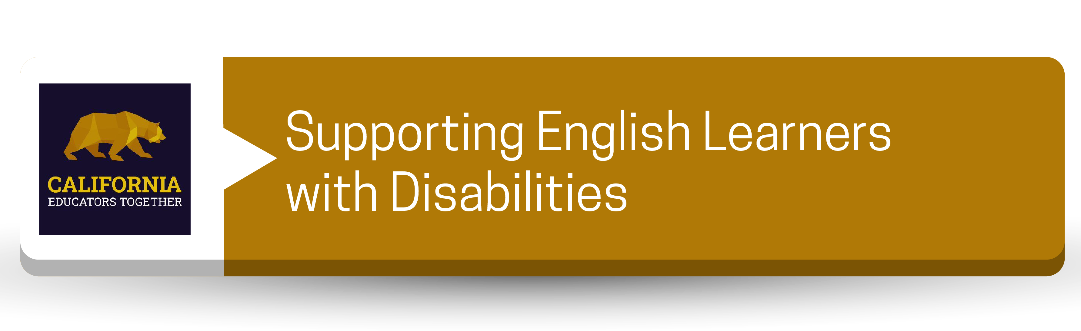 Apoyando a los estudiantes de inglés con discapacidades - Botón de recursos para profesionales (educadores de CA juntos)