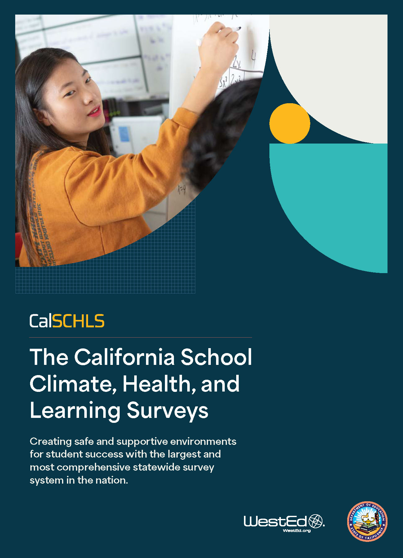  The California School Climate, Health, and Learning Surveys Brochure
