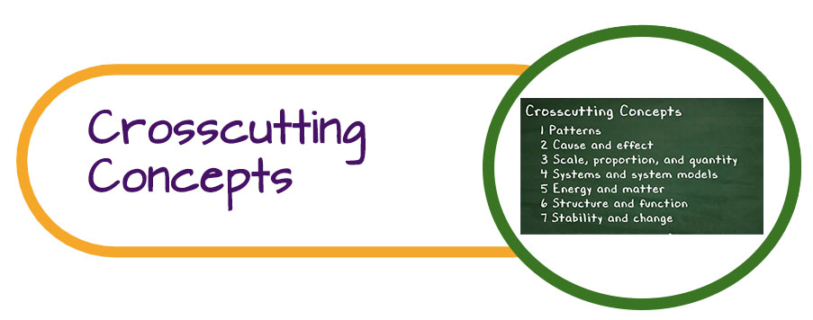 Crosscutting Concepts Button