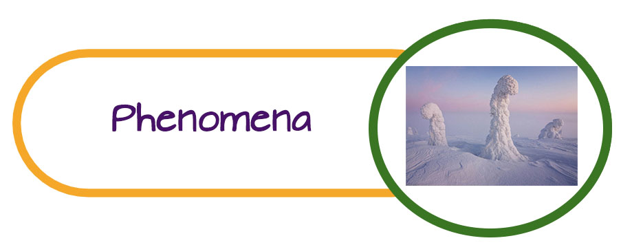 Phenomena Section Title