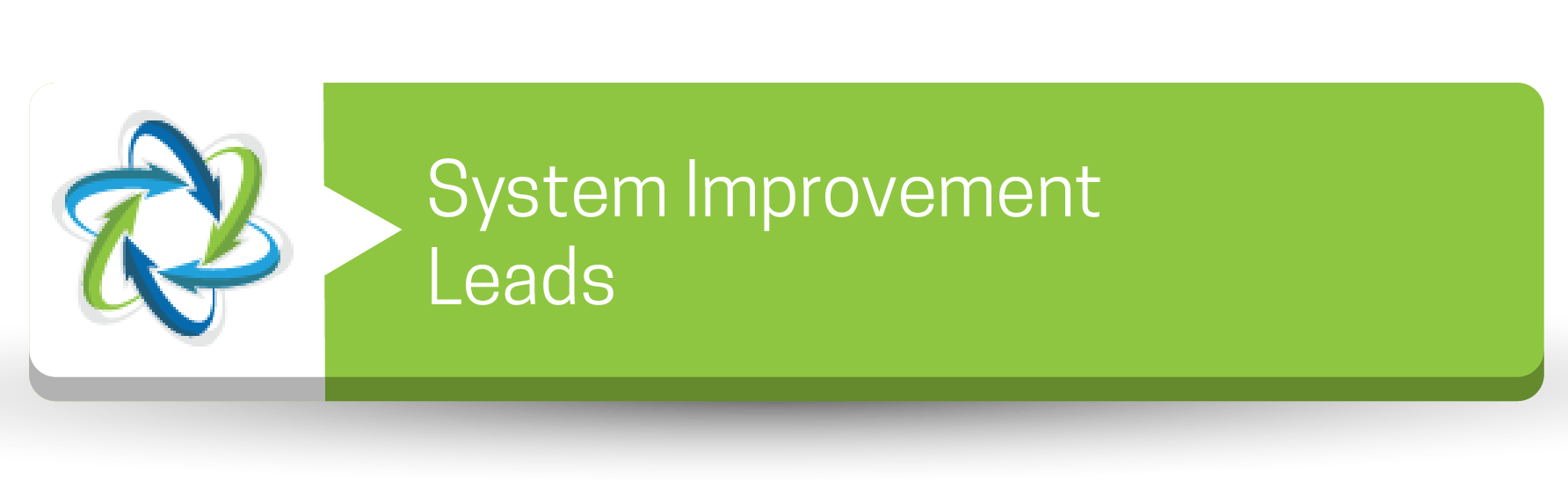 System Improvement Leads Button