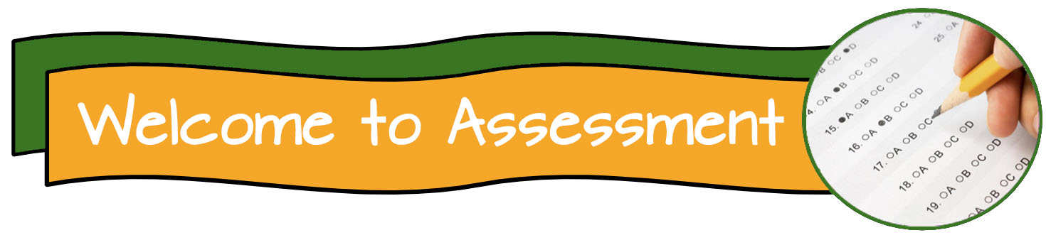 Welcome to Assessment
