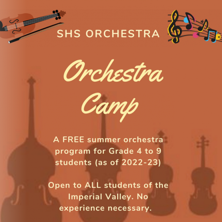 Orchestra Camp